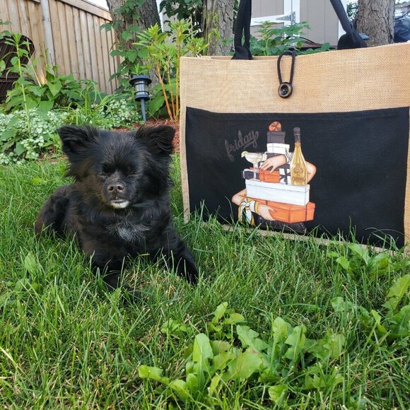 Custom Canvas Tote Bag, Large Size - Fashion Theme #8 - Cream Tote - Picture 15 of 15